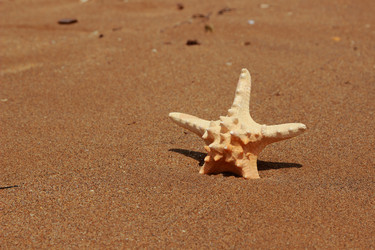 Similar image 11287288