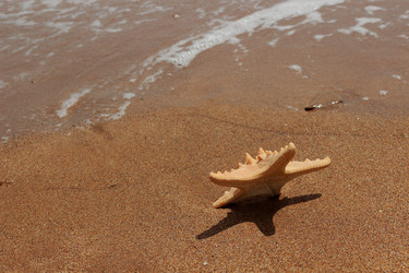 Similar image 11287296