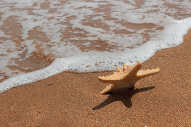 Similar image 11287343