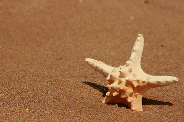 Similar image 11287344