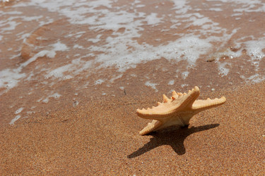 Similar image 11287345