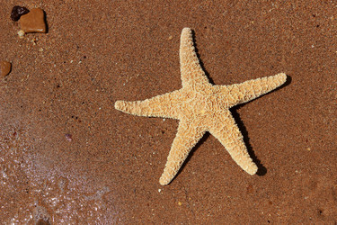 Similar image 11287476