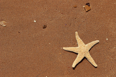 Similar image 11287480