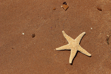 Similar image 11317390