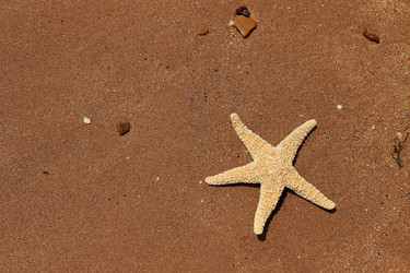 Similar image 11317393