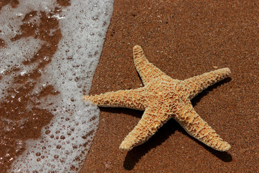 Similar image 11317655