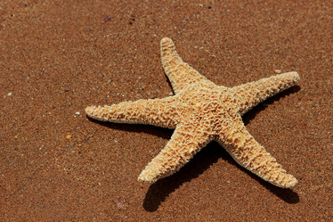 Similar image 11317658