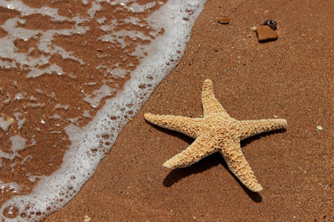 Similar image 11317661