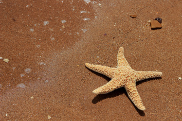 Similar image 11317674