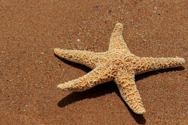 Similar image 11317708