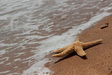 Similar image 11317717