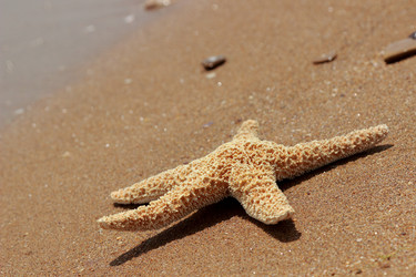 Similar image 11317722