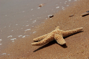 Similar image 11317725