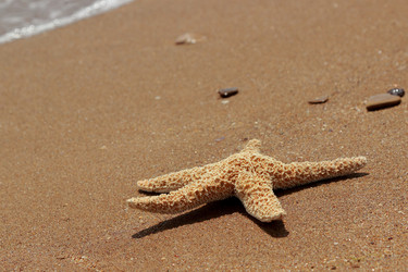 Similar image 11317731