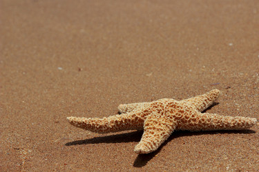 Similar image 11317754