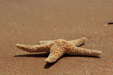 Similar image 11317764