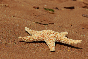 Similar image 11317970