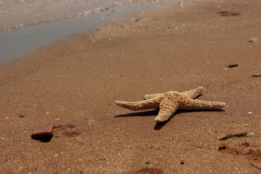 Similar image 11317974