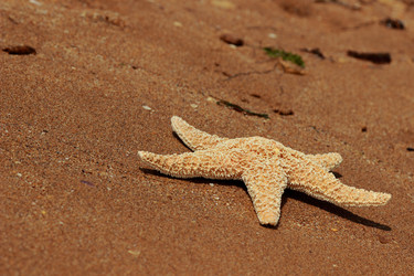 Similar image 11318009