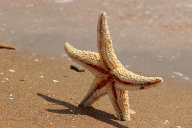 Similar image 11318316