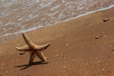 Similar image 11318324