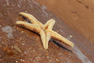 Similar image 11318327