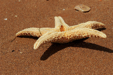 Similar image 11318332