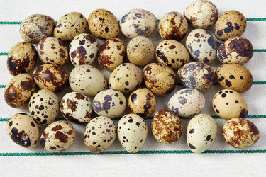 Similar image 10959049