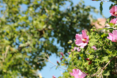 Similar image 11138568