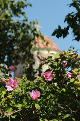 Similar image 11138569