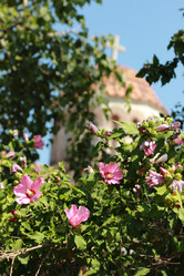 Similar image 11138586