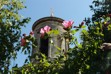 Similar image 11138589