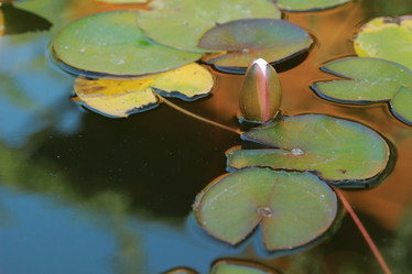 Similar image 11138606