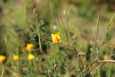 Similar image 11138610