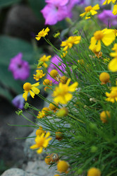 Similar image 11138611