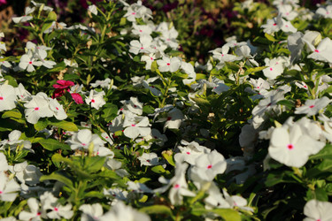 Similar image 11138627