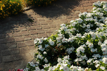 Similar image 11138697