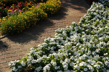 Similar image 11138699