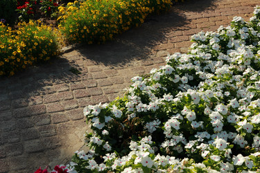 Similar image 11138700