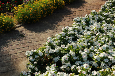 Similar image 11138701