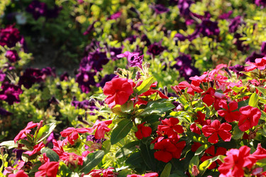 Similar image 11131634