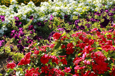 Similar image 11134304