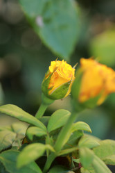 Similar image 11134306