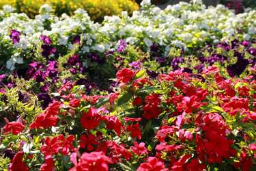 Similar image 11132610