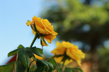 Similar image 11132616