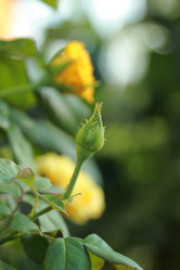 Similar image 11134275