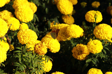 Similar image 11134278