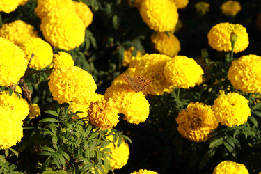 Similar image 11134309