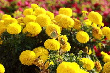 Similar image 11134310