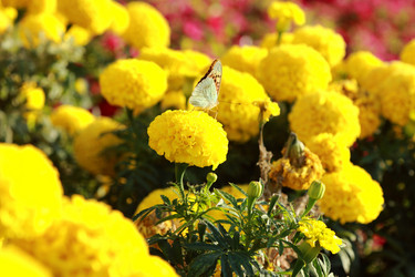 Similar image 11134343